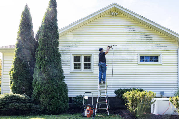 Best House Exterior Washing  in Union Springs, NY